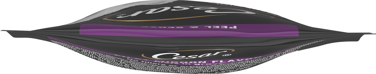 slide 3 of 15, Cesar Filets in Gravy Filet Mignon Flavor Canine Cuisine 1.76 oz, 1.76 oz