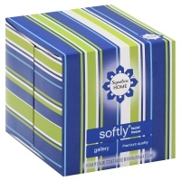 slide 1 of 1, Signature Home Facial Tissue Softly Gallery Two-Ply, 74 ct