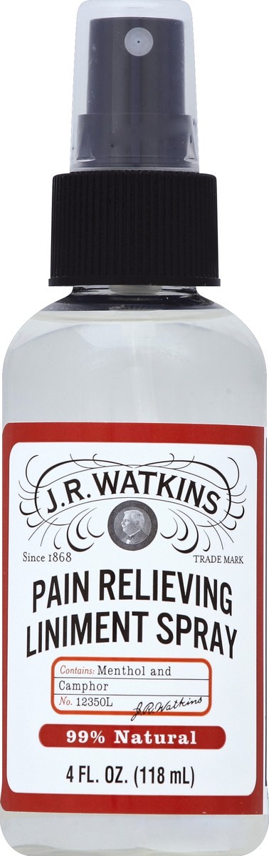 slide 2 of 2, J.R. Watkins Pain Relieving Liniment Spray, 4 fl oz