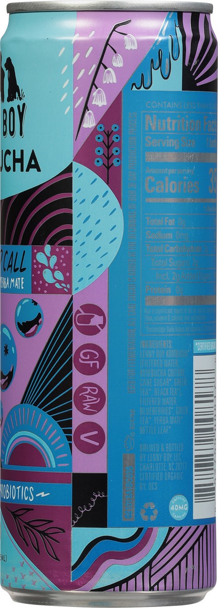 slide 4 of 14, Lenny Boy Blueberry and Yerba Mate Kombucha - 12 fl oz, 12 fl oz