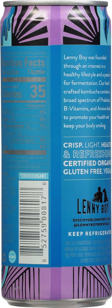 slide 13 of 14, Lenny Boy Blueberry and Yerba Mate Kombucha - 12 fl oz, 12 fl oz