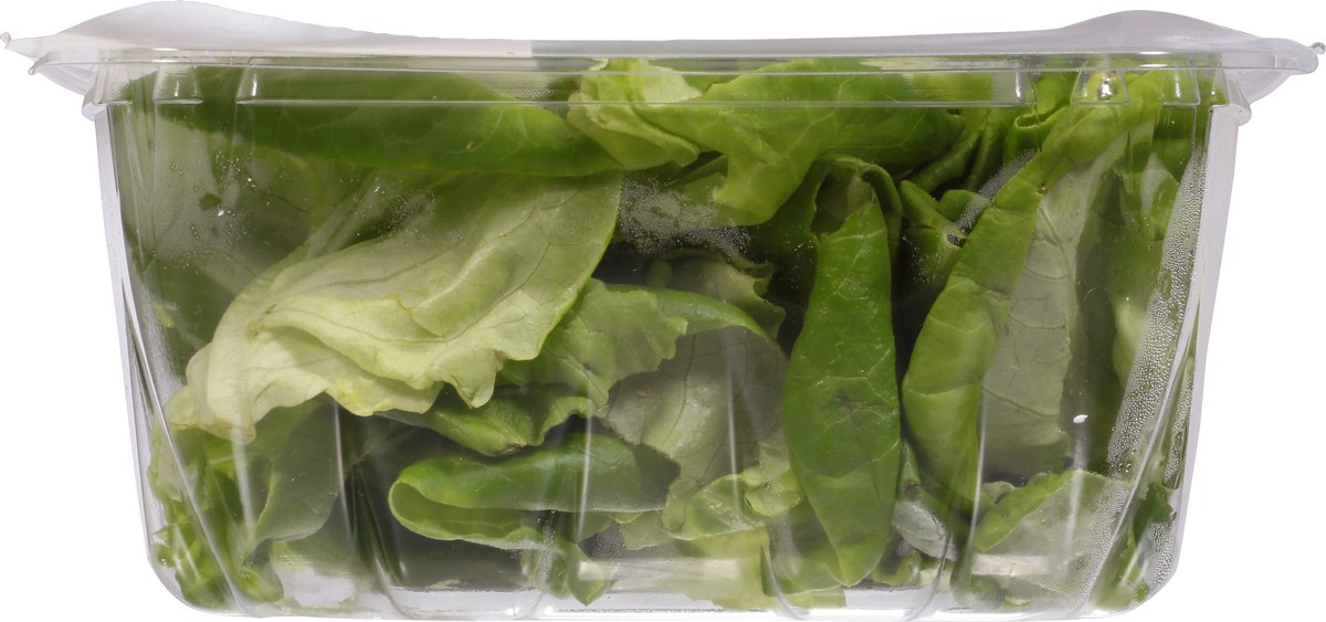 slide 4 of 13, Kalera Butter Leaf 4.5 oz, 4.5 oz