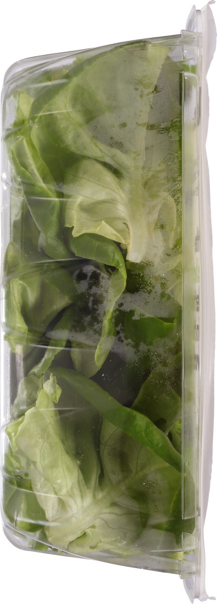 slide 5 of 13, Kalera Butter Leaf 4.5 oz, 4.5 oz