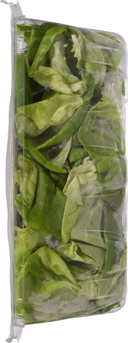 slide 6 of 13, Kalera Butter Leaf 4.5 oz, 4.5 oz