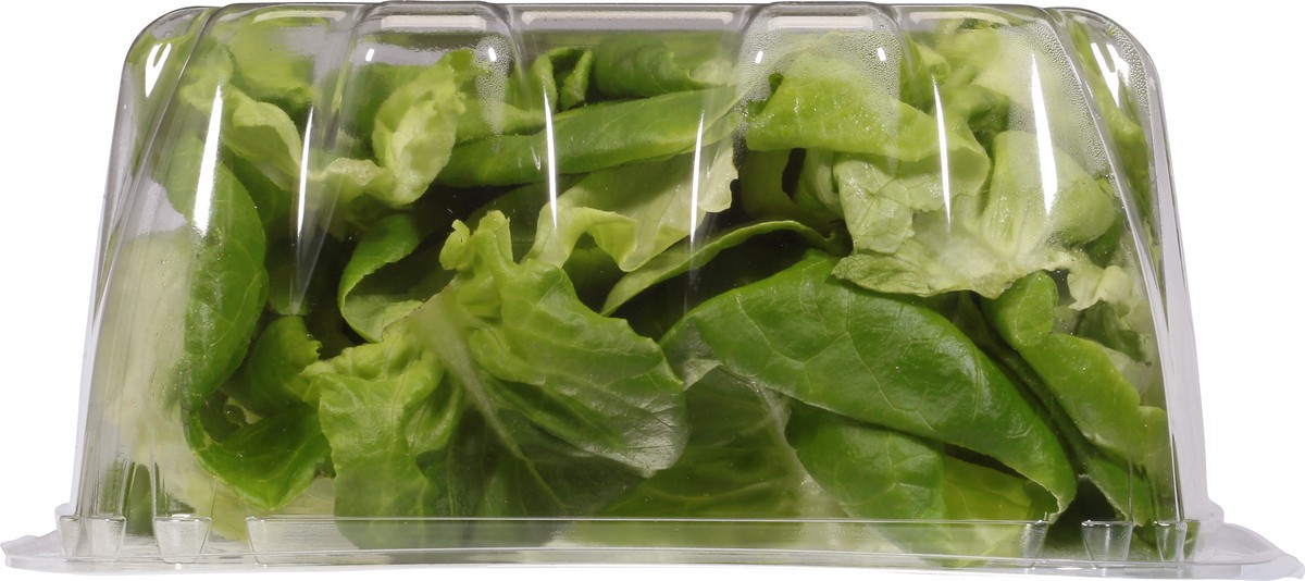 slide 11 of 13, Kalera Butter Leaf 4.5 oz, 4.5 oz