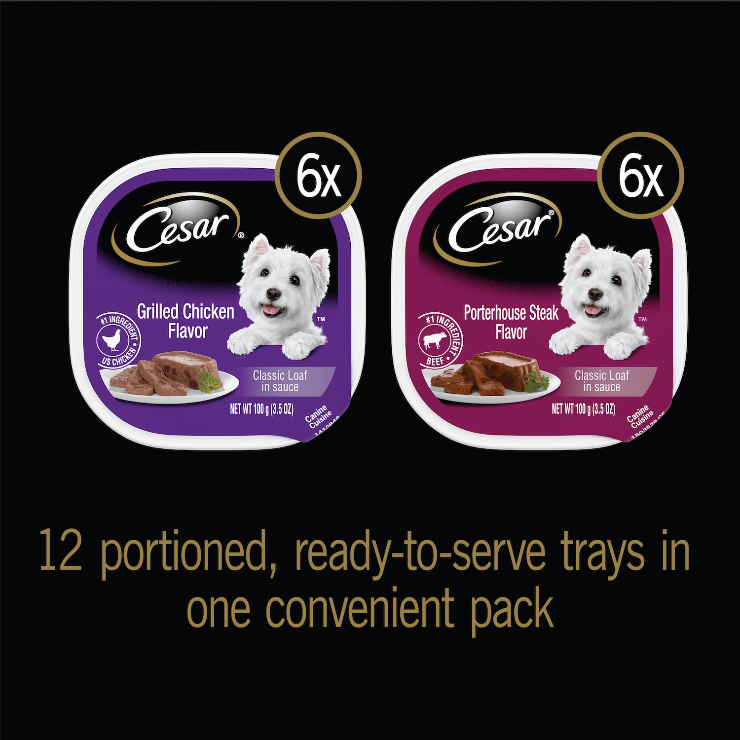 CESAR BACKYARD COOKOUT Adult Wet Dog Food Classic Loaf in Sauce Variety