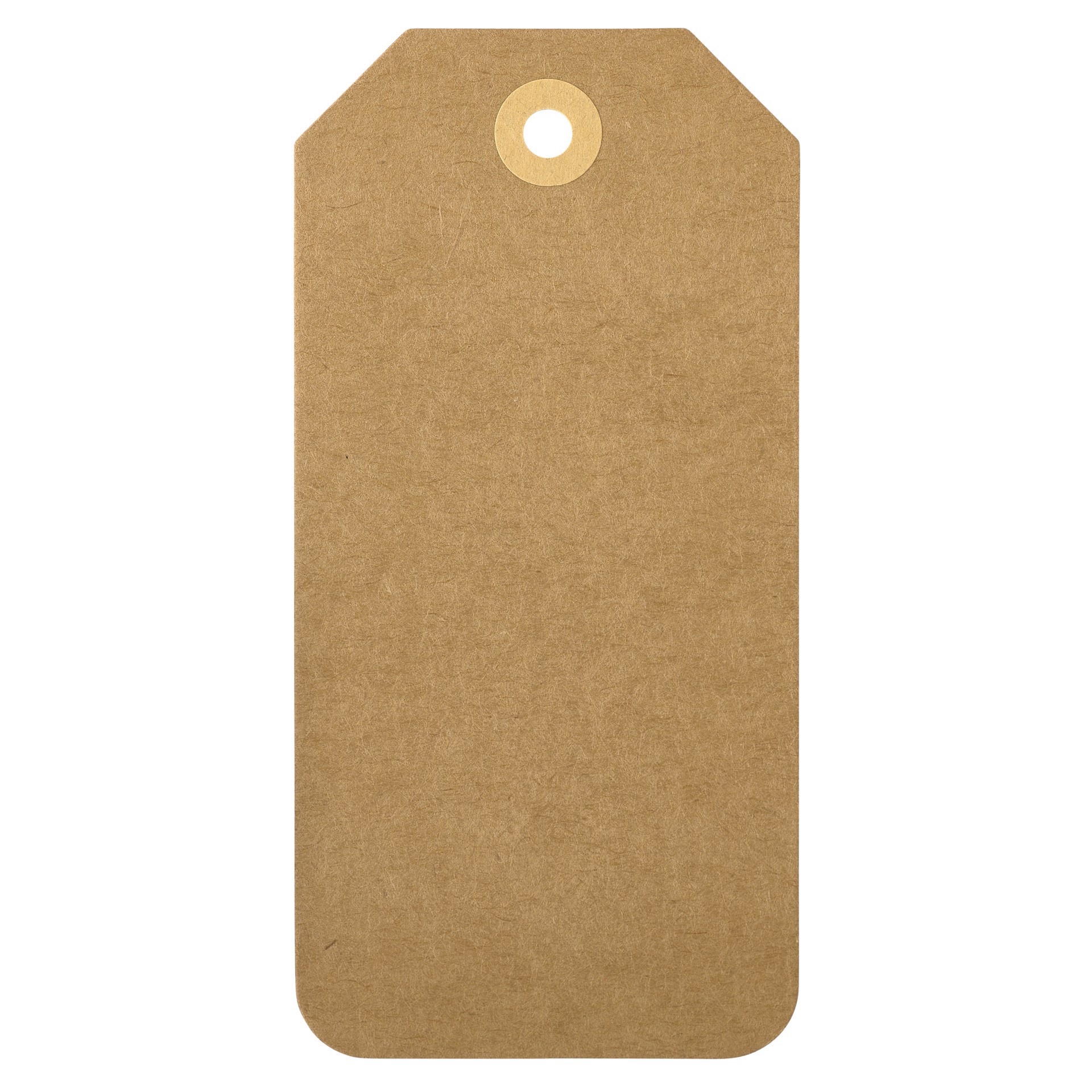 slide 6 of 6, Large Kraft Tags By Recollections, 2.5 in x 5.12 in