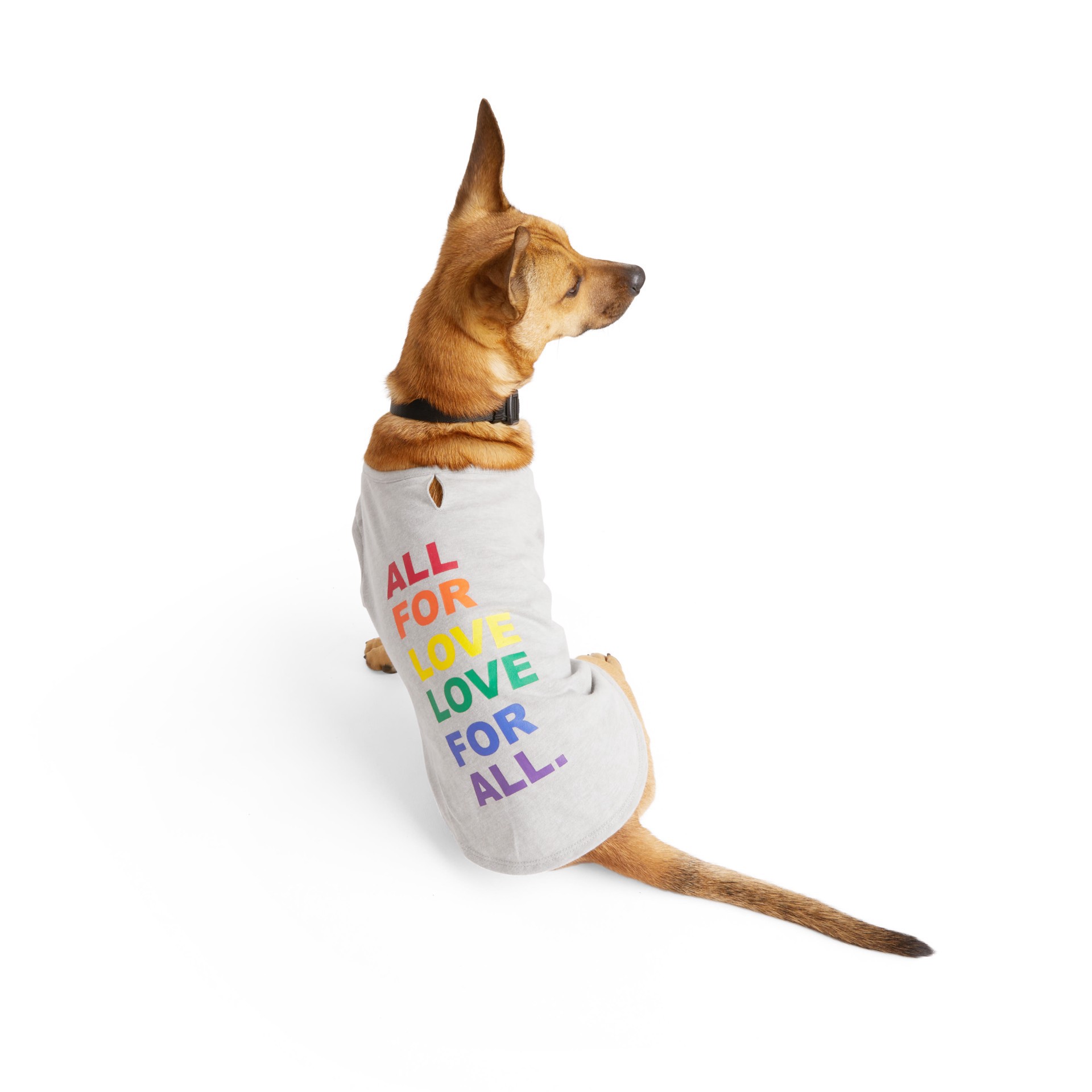 slide 1 of 1, YOULY Love for All Dog Tee, XX-Large, XXL
