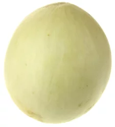 Honeydew Melon