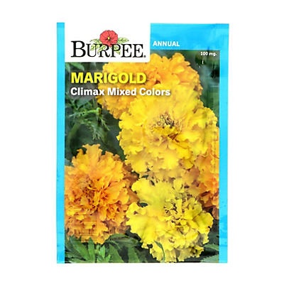 slide 1 of 1, Burpee Marigold, Climax Mixed Color Flower Seeds, 1 ct