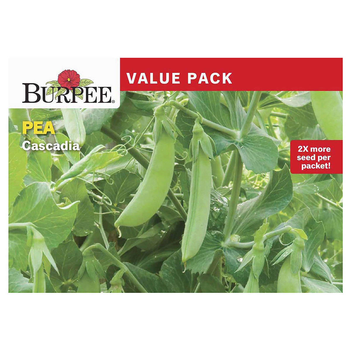 slide 1 of 5, Burpee Value Pack Snap Pea Cascadia Seeds, 1 ct