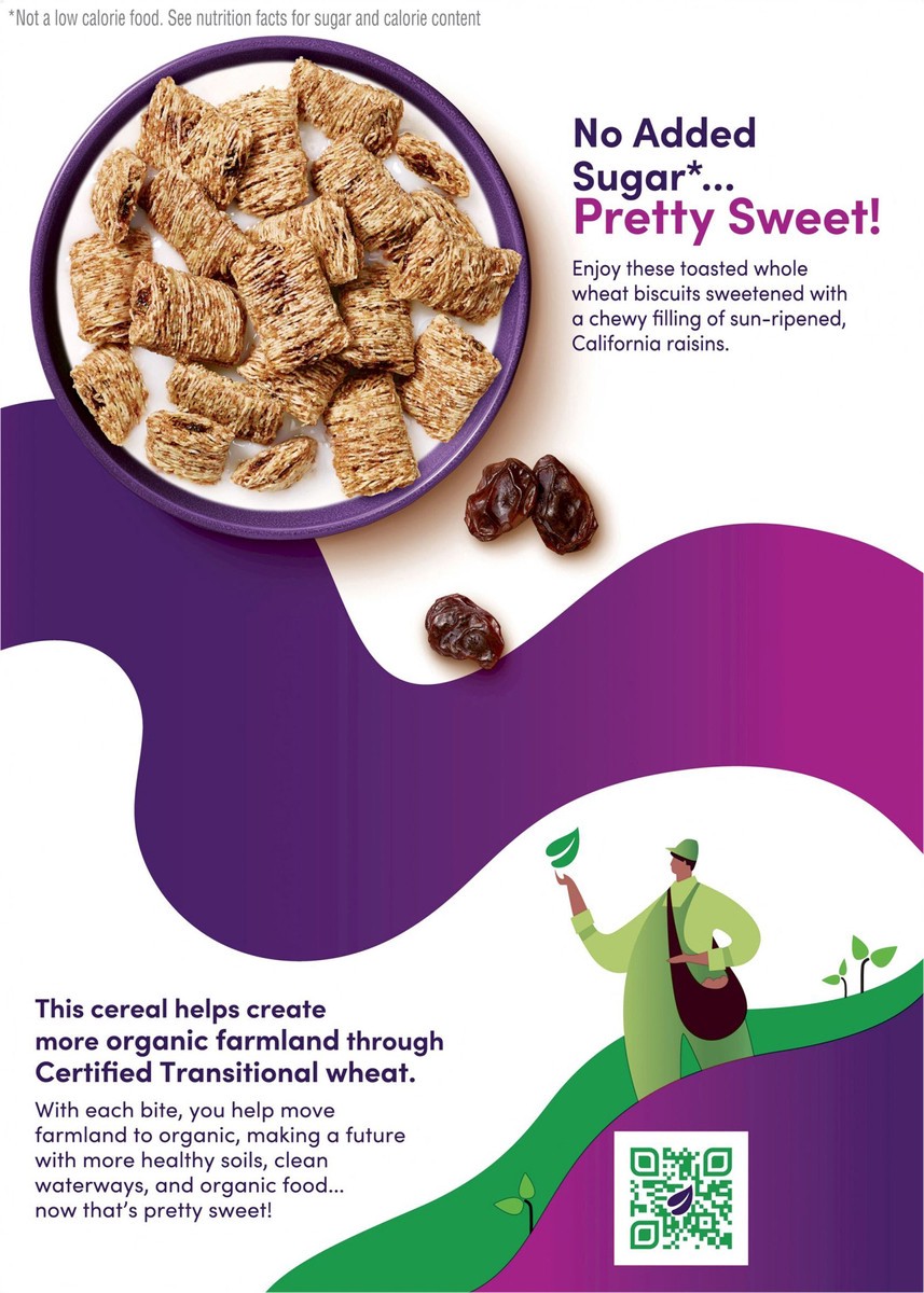 slide 6 of 14, Kashi Cold Breakfast Cereal, Vegan, Fiber Cereal, Simply Raisin, 15.6oz Box, 1 Box, 15.6 oz