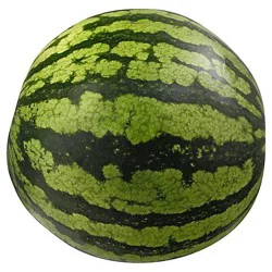 Watermelon Personal/Mini