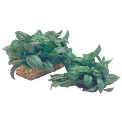 Basil Bunch Prepacked