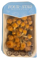 Four Star Chestnut Mushrooms