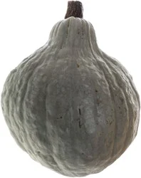 Baby Blue Squash