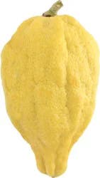 Etrog Citron