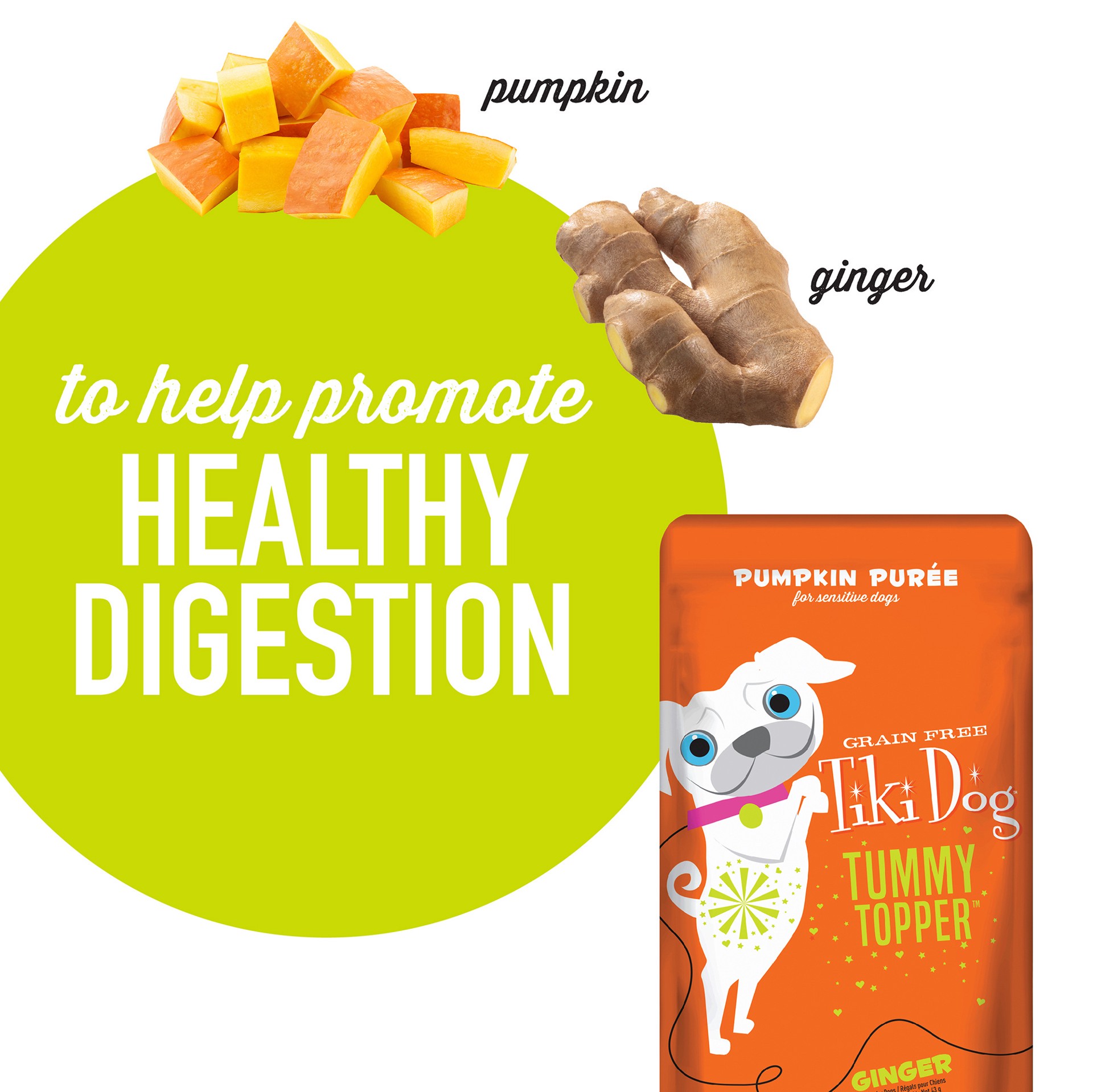 slide 5 of 6, Tiki Dog® Tummy Topper All Life Stage Dog Food Topper - Pumpkin Purée, 1.5 oz