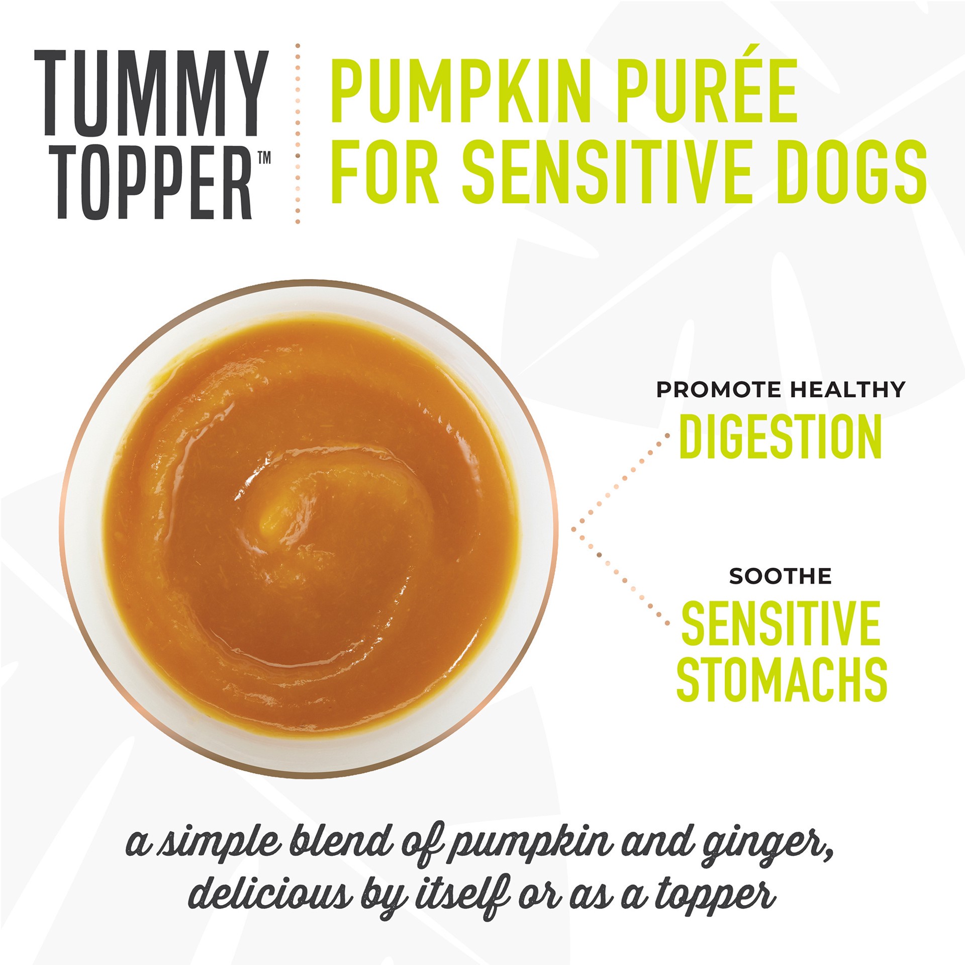 slide 6 of 6, Tiki Dog® Tummy Topper All Life Stage Dog Food Topper - Pumpkin Purée, 1.5 oz