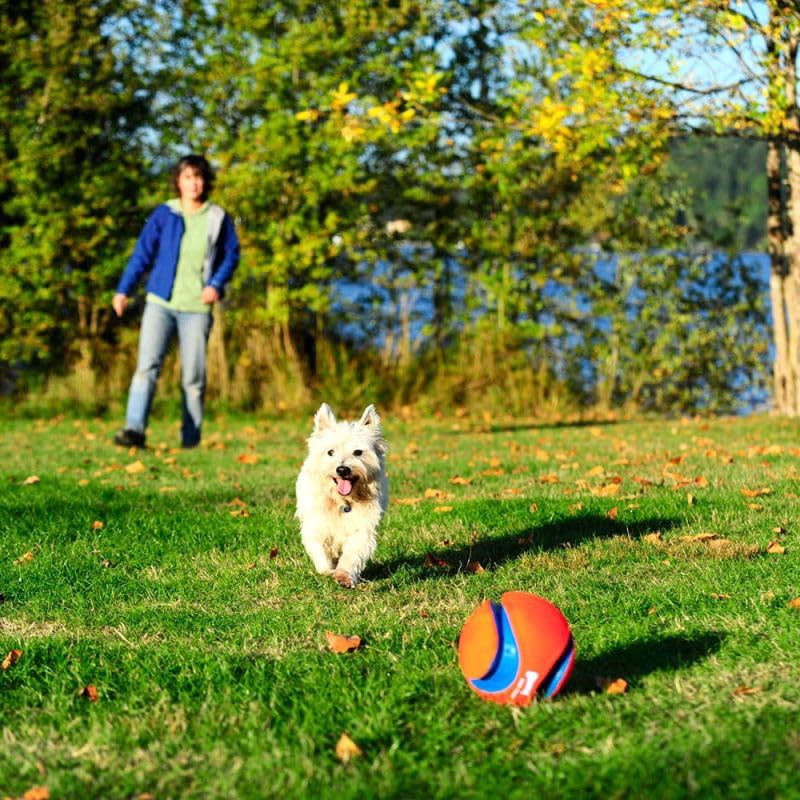 slide 6 of 10, Chuckit!! Kick Fetch Dog Toy, SM