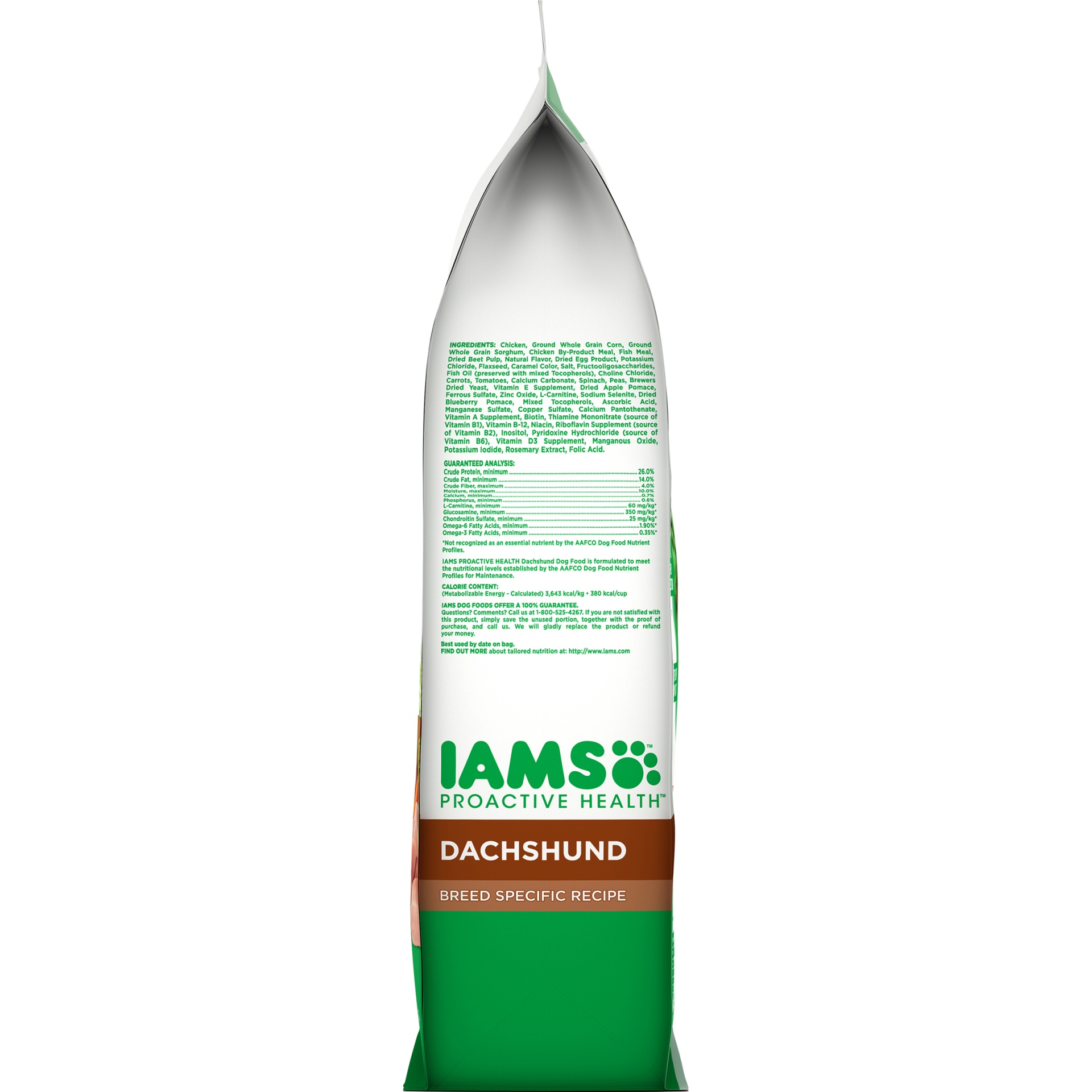 iams dachshund