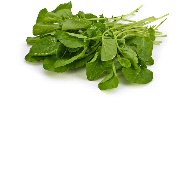 slide 1 of 1, Watercress, 1 ct