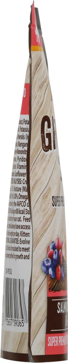 slide 2 of 12, Evolve Gluten Free Cat Salmon Pouch, 3 oz