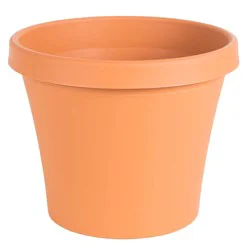 Bloem 6" Terra Pot Planter Terra Cotta Bloem