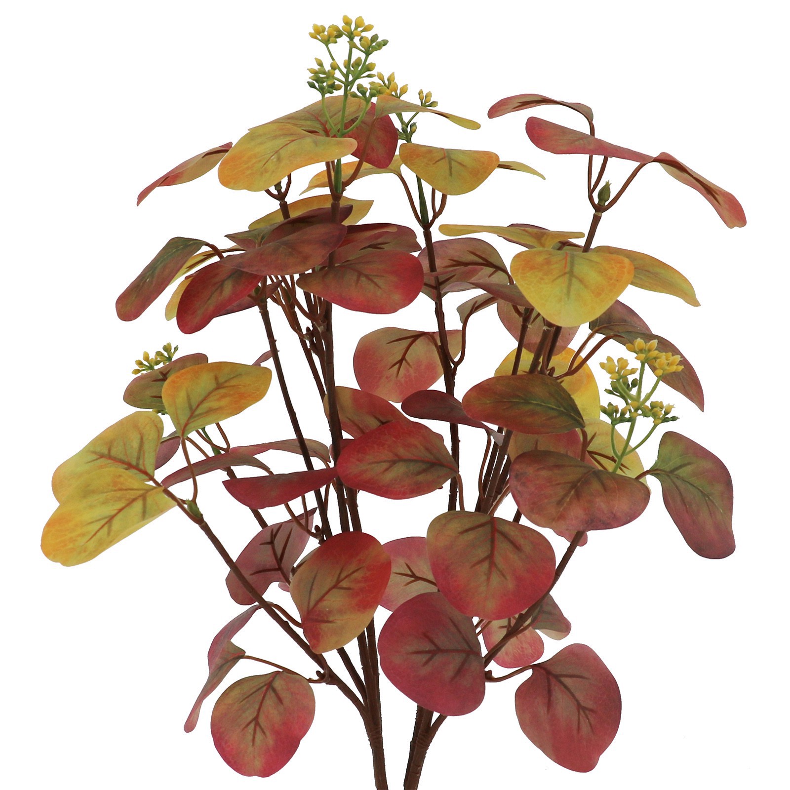 slide 2 of 2, 20" Silver Dollar Eucalyptus Bush By Ashland, 12 in x 2 in x 20 in