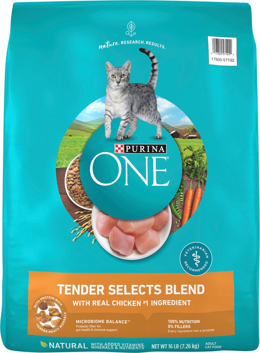 slide 8 of 8, ONE Purina ONE Natural Dry Cat Food, Tender Selects Blend With Real Chicken, 16 lb
