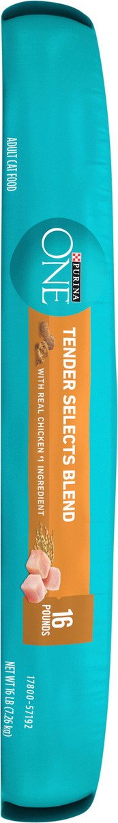 slide 6 of 8, ONE Purina ONE Natural Dry Cat Food, Tender Selects Blend With Real Chicken, 16 lb