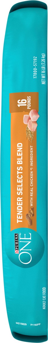 slide 3 of 8, ONE Purina ONE Natural Dry Cat Food, Tender Selects Blend With Real Chicken, 16 lb