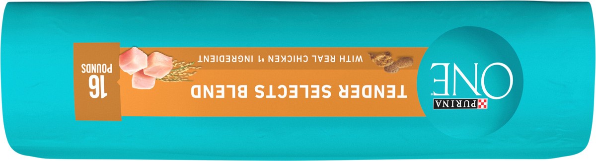 slide 5 of 8, ONE Purina ONE Natural Dry Cat Food, Tender Selects Blend With Real Chicken, 16 lb