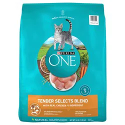 Purina ONE Natural Dry Cat Food, Tender Selects Blend With Real Chicken
