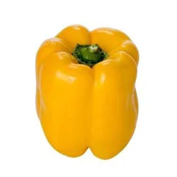 Yellow Pepper