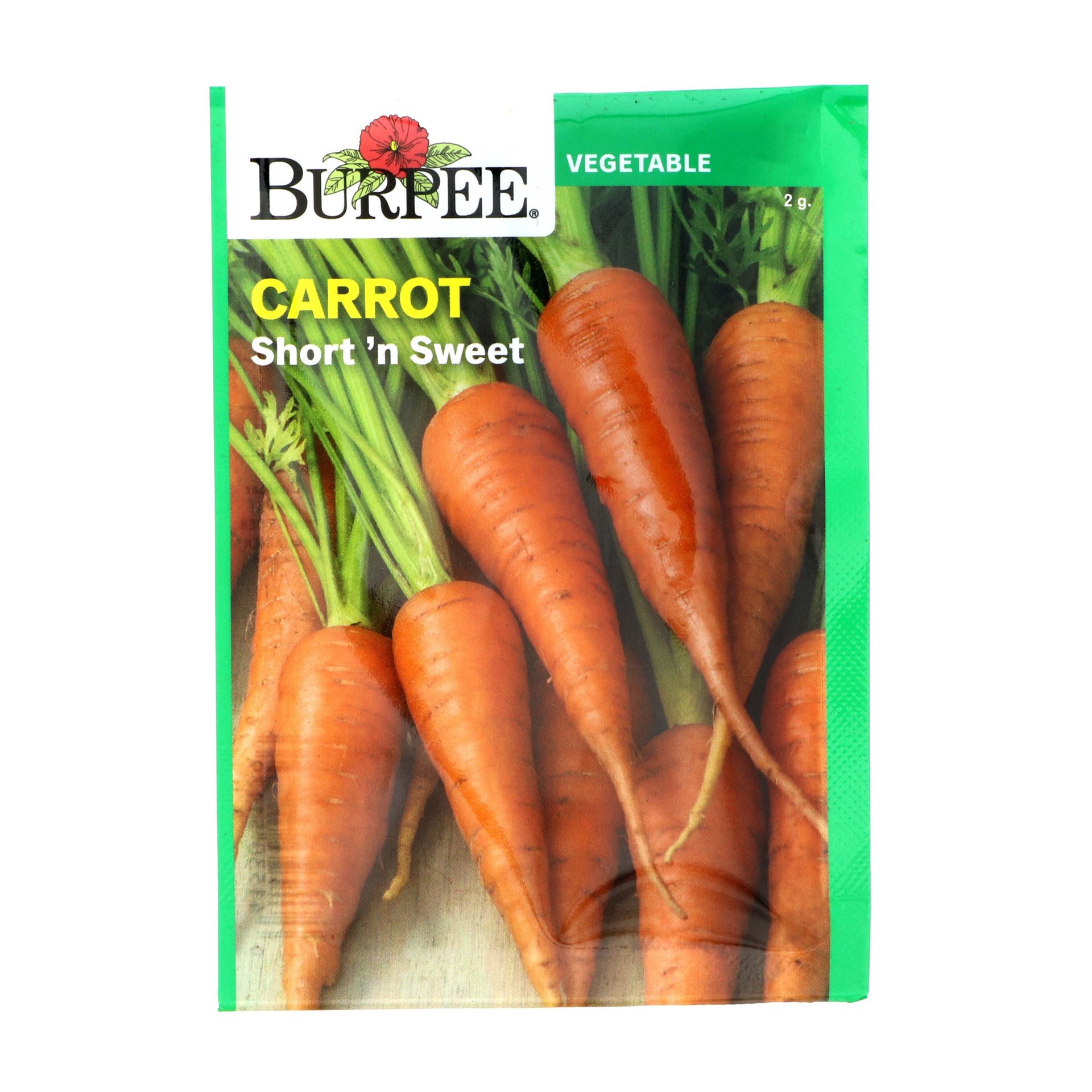 slide 1 of 1, Burpee Carrot Short 'n Sweet Vegetable Seeds, 1 ct