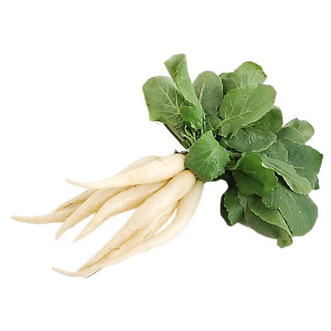 slide 1 of 1, Radishes White Icicle, 1 ct