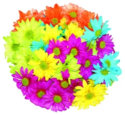 Crazy Daisy Bouquet