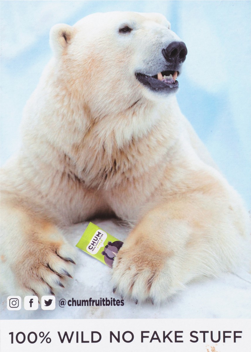 slide 10 of 11, Chum Berry Fruit Bites 4 - 0.7 oz Packs, 4 ct