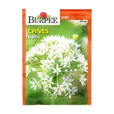 slide 1 of 1, Burpee Chives Garlic Herb Seeds, 1 ct