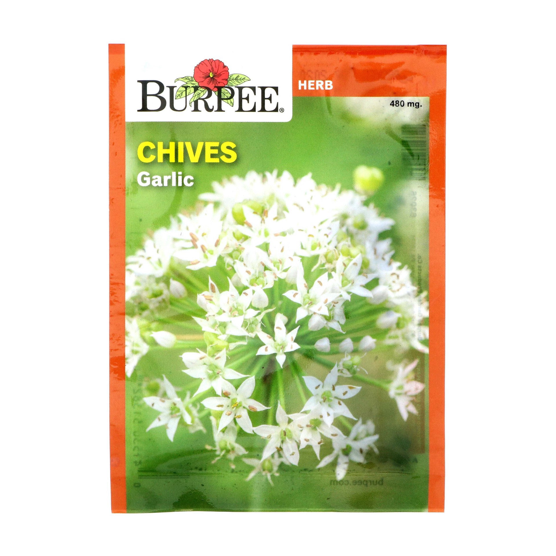 slide 1 of 1, Burpee Chives Garlic Herb Seeds, 1 ct