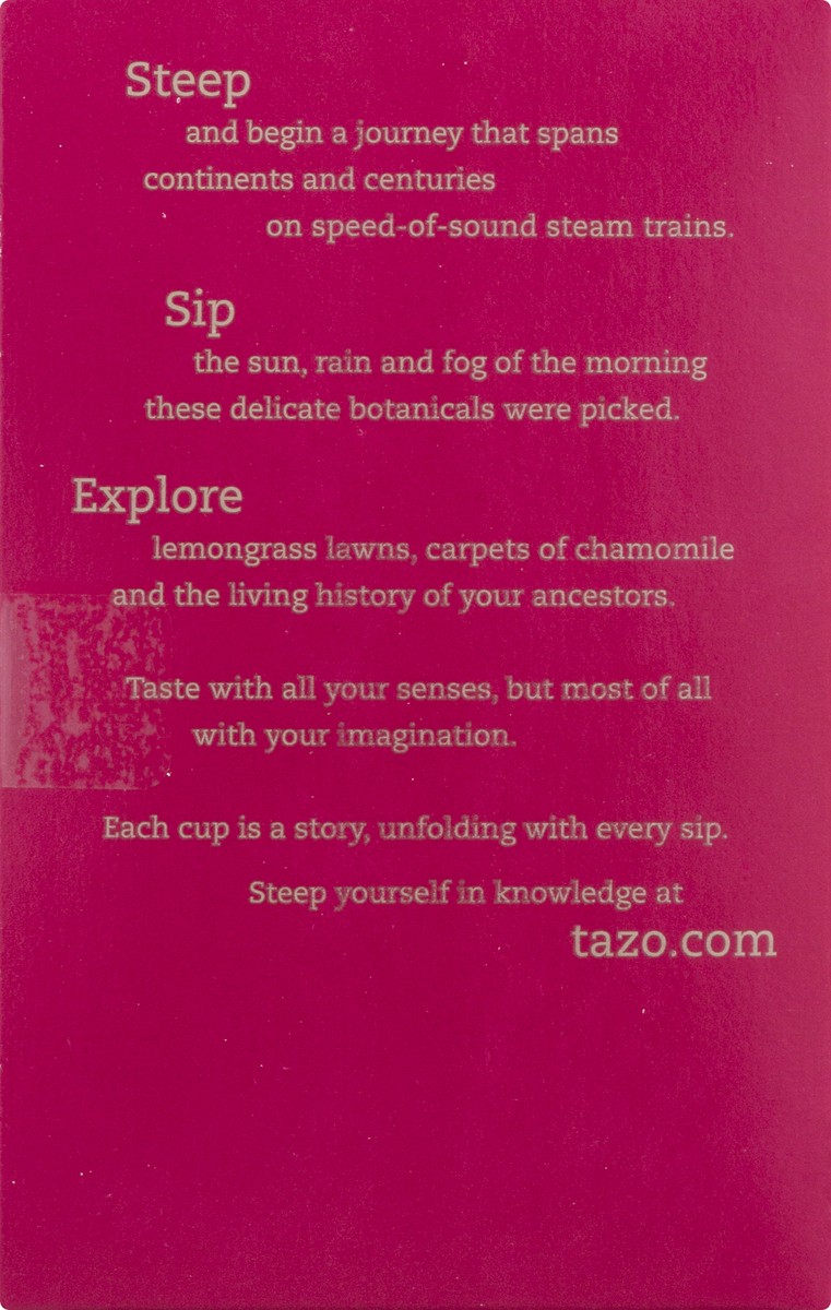 slide 8 of 9, Tazo Pumpkin Spice Tea Bag - Each, 