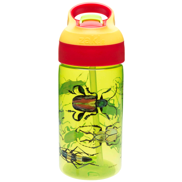 slide 1 of 1, Zak! Designs Riverside Water Bottle - Bugs, 16 oz