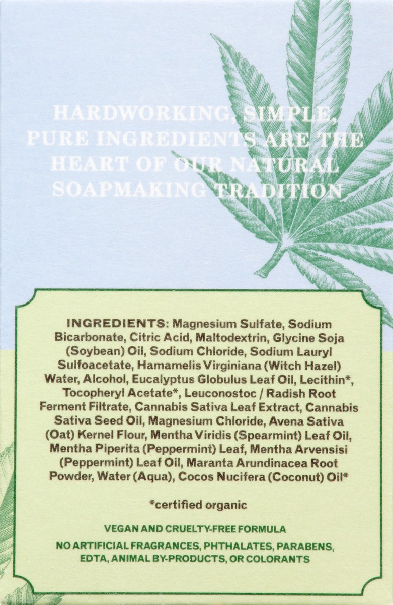 slide 2 of 12, The Grandpa Soap Co. CBD Relieve Foaming Salt Blocks 2 ea, 2 ct