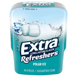 EXTRA Gum Refreshers Polar Ice Sugar Free Chewing Gum, 40 Pieces Bottle