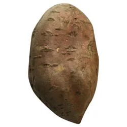 White Sweet Potato
