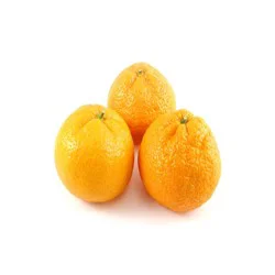 Satsuma Mammoth Tangerine
