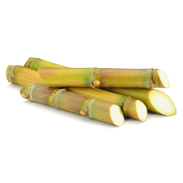 slide 1 of 1, Sugar Cane, 1 ct