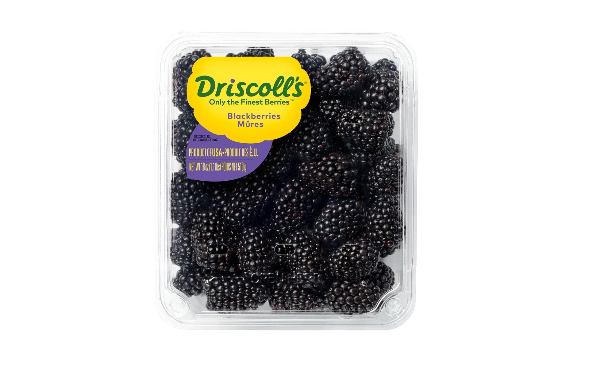 slide 1 of 7, Driscoll's Blackberries, Fresh Blackberries, Conventional, 18 oz., 18 oz