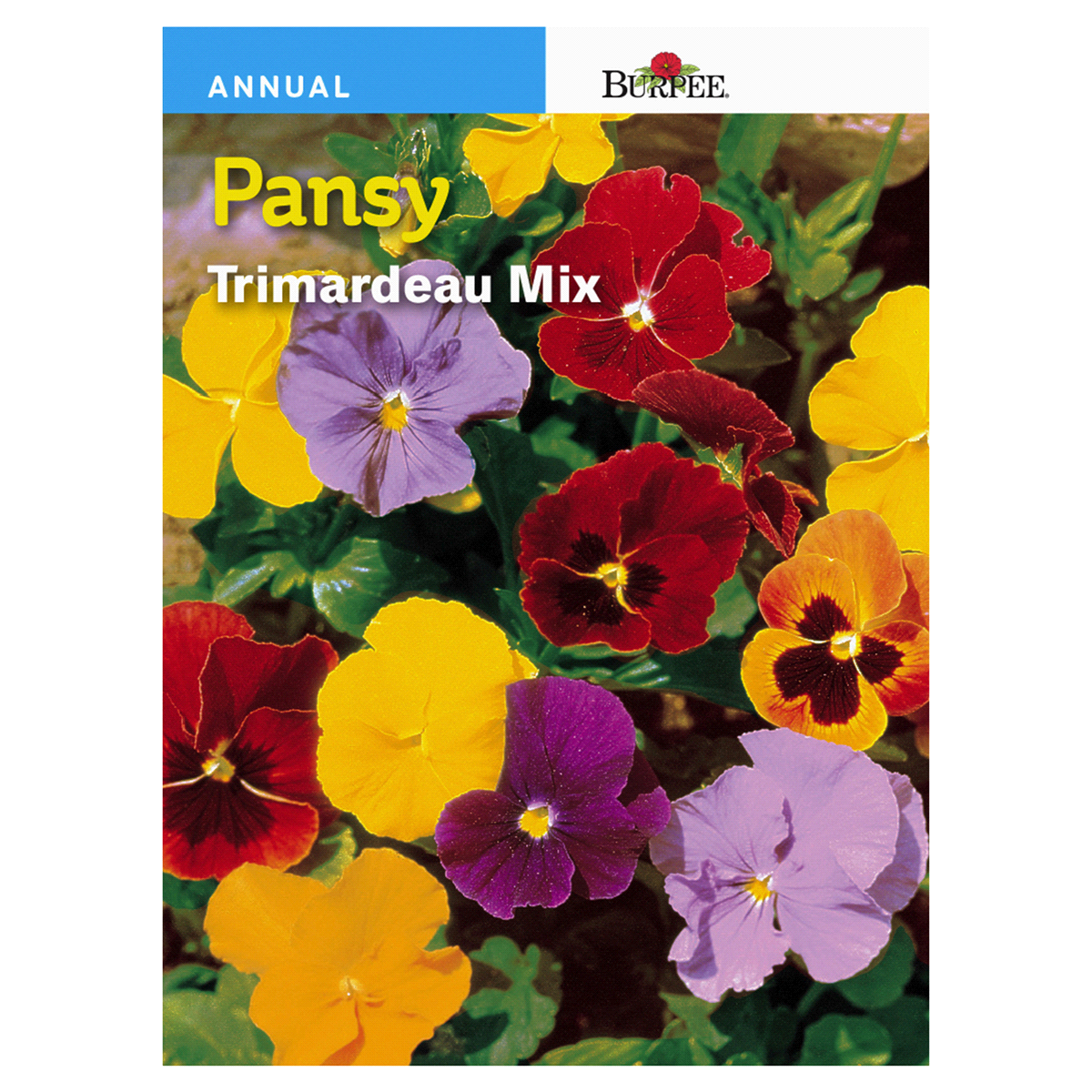 slide 1 of 1, Burpee Pansy Trimardeau Mix Seeds - Multi-Color, 1 ct